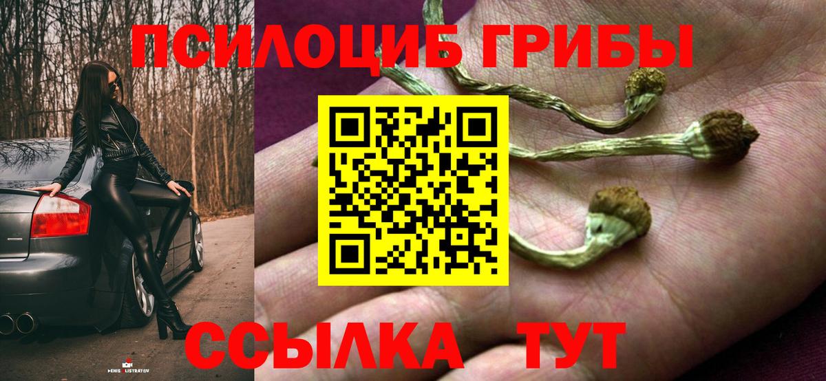 Галлюциногенные грибы прущие грибы  Вход с VPN  Дербент  Псилоцибиновые грибы Psilocybine cubensis 